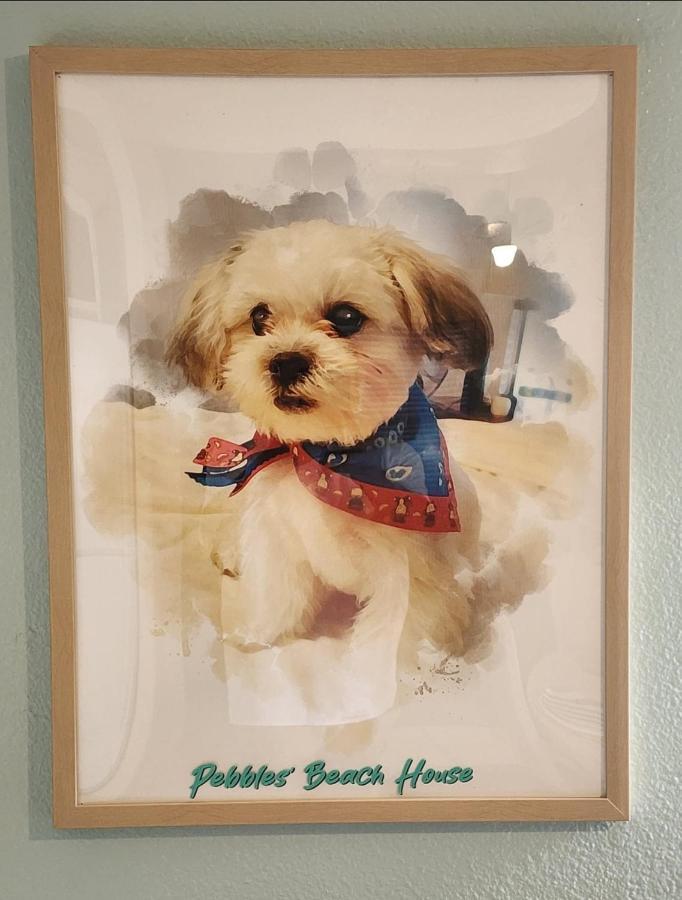Pebbles' Beach House Edinburg Εξωτερικό φωτογραφία