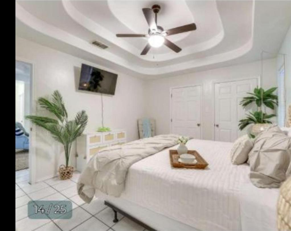 Pebbles' Beach House Edinburg Εξωτερικό φωτογραφία